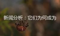 新闻分析：它们为何成为2020年度全国十大考古新发现？