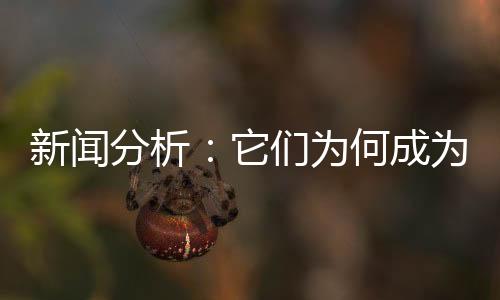 值得一提的何成是