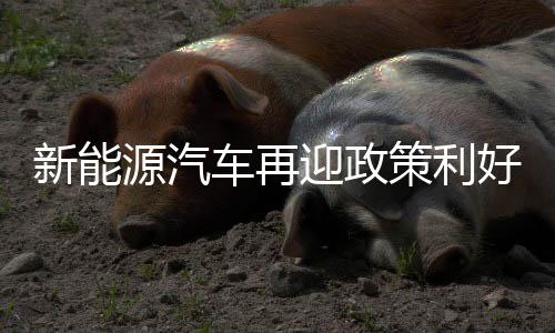 强化对各地指导监督