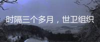 快排公司十年历程，霸屏兔 seo 的崛起与坚守