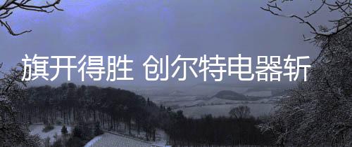 配套专业化检测系统