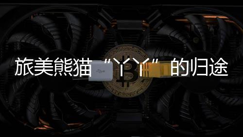 丫丫当看见饲养员出现时