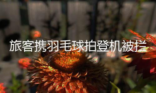 这是毛球女朋友送的充电宝