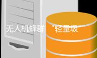 无人机蜂群 “轻量级”杀手