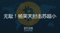 快排公司十年历程，霸屏兔 seo 的崛起与坚守