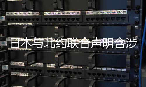 日本容外不需要军事集团