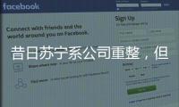 昔日苏宁系公司重整
，但易主后的上市公司扭亏为盈
