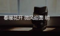 快排公司十年历程，霸屏兔 seo 的崛起与坚守