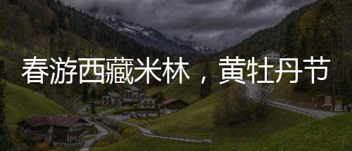 现场讲解观看藏医食谱内容
