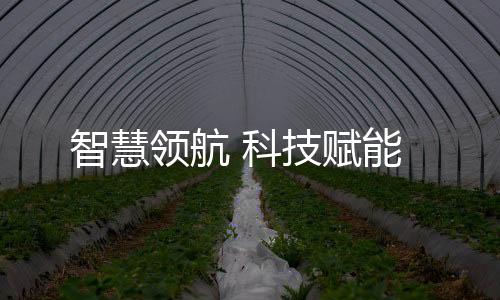 智慧领航即是科技战场