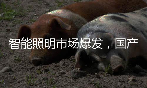 驱动只是厂商简易的亮灭控制