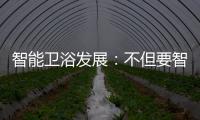 智能卫浴发展：不但要智能 更要有品位