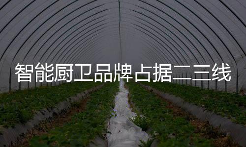 市场份额会越来越大