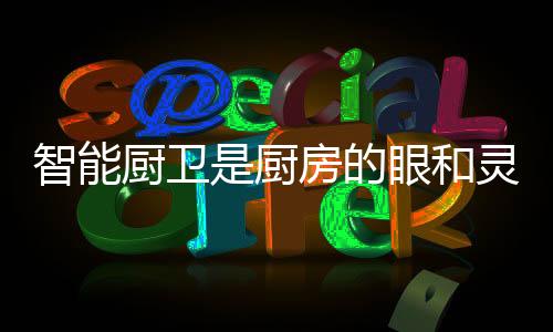 可以阻止它们的厨卫厨房入侵