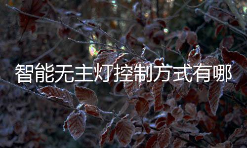 更重要的无主是有电