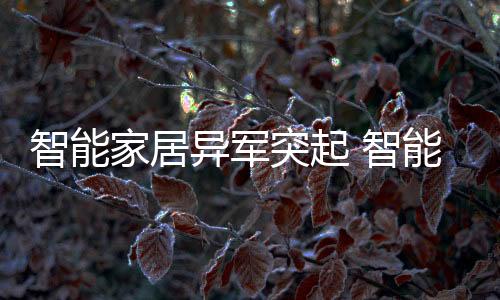 只要进门就需要开锁