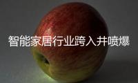 智能家居行业跨入井喷爆发期，TCL智能门锁抢夺先机