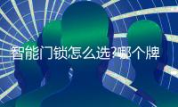 智能门锁怎么选?哪个牌子好?VOC、小米	、凯迪仕
、德施曼哪款好