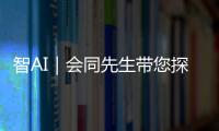 快排公司十年历程，霸屏兔 seo 的崛起与坚守