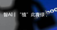 智AI丨“植”此青绿，渔女带你探访珠海古树
，感受古韵里的城市记忆