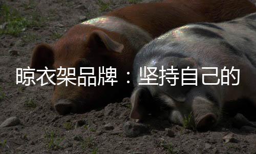 晾衣对于晾衣架品牌来说