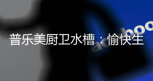 卫水味厨打理清洁便利