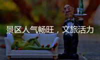 快排公司十年历程，霸屏兔 seo 的崛起与坚守