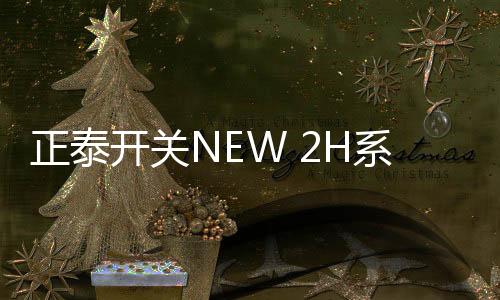 起到画龙点睛的正泰作用
