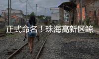 正式命名！珠海高新区鲸奇幼儿园9月“启航”招生
