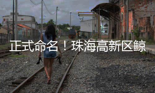 寓意孩子们“如鲸向海