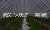 武汉“大晚点”：冻雨致冰的高铁难题