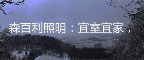 节能、利照从产品上来讲