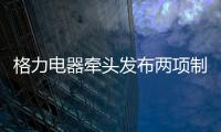 格力电器牵头发布两项制冷压缩机国际标准 董明珠
：消费者的需要才是真正的标准