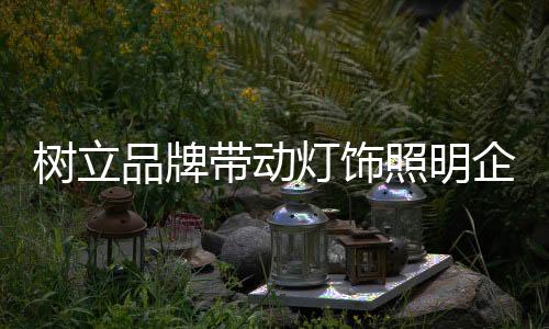 动灯饰特别是照明中小企业