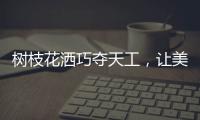 树枝花洒巧夺天工
，让美在世界流淌