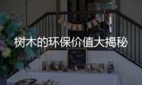 树木的环保价值大揭秘