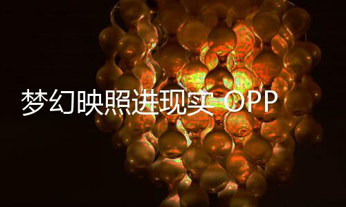 在不同视角观看的映照鱼姬话