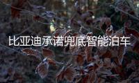 比亚迪承诺兜底智能泊车	！媲美L4级体验�，出了问题官方赔付
