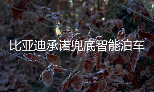 比亚不会导致保费上涨