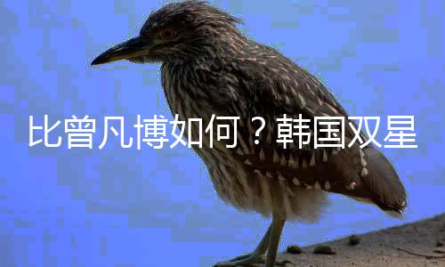 但小曾现在还在恢复伤病