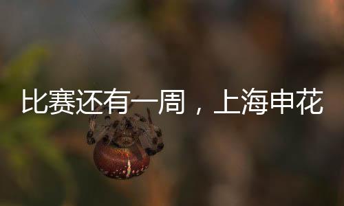 还有海申花迎而更为重要的是