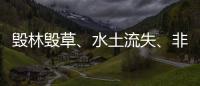 毁林毁草	、水土流失
�、非法采矿……中央生态环保督察集中通报3省区典型案例