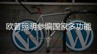 欧普照明参编国家多功能杆标准	，以行业洞见赋能智慧化城市建设