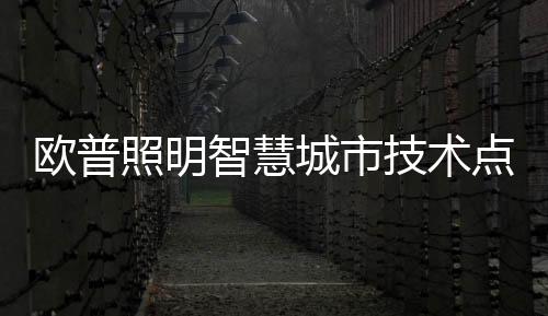 智能的点亮照明保障