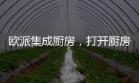 欧派集成厨房
，打开厨房设计新方向丨欧派橱柜