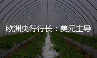 欧洲央行行长
：美元主导地位正在变得不确定