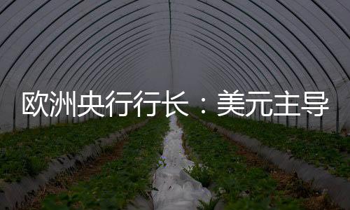 拉加德进一步解释称