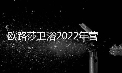 莎卫收官定制产品规模化