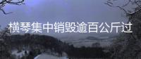 横琴集中销毁逾百公斤过期药品�，守护居民食药安全
