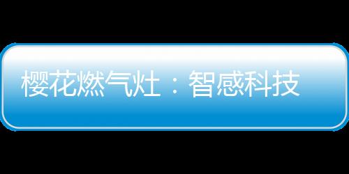 让清洁变得轻而易举